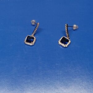 Elegant Silver and Blue Earrings